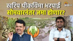 खरीप पीक विमा भरपाईची प्रतीक्षा संपणार; पुढच्या आठवड्यापासून खात्यात पैसे जमा होण्याची शक्यता